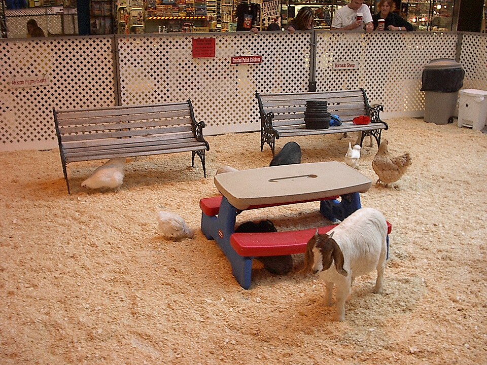 Kinderboerderij De Rekerhout