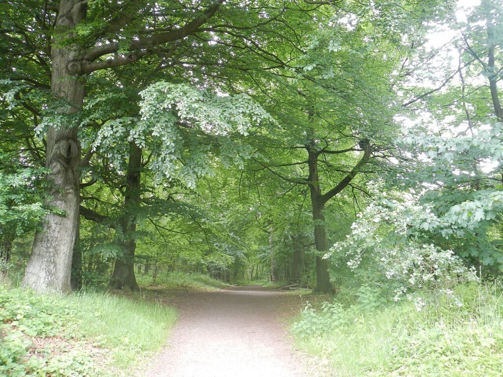 Bokketocht in Heerhugowaard
